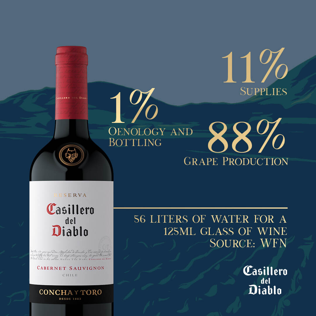 Casillero del Diablo Huella del Agua