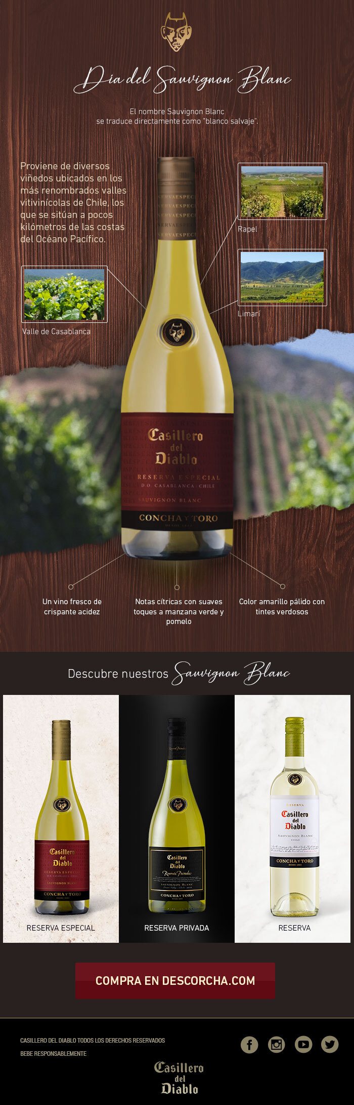Casillero del Diablo Día del Sauvignon Blanc