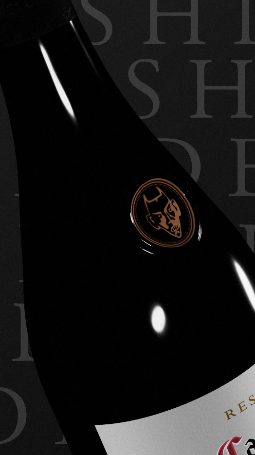 Casillero del Diablo Shiraz
