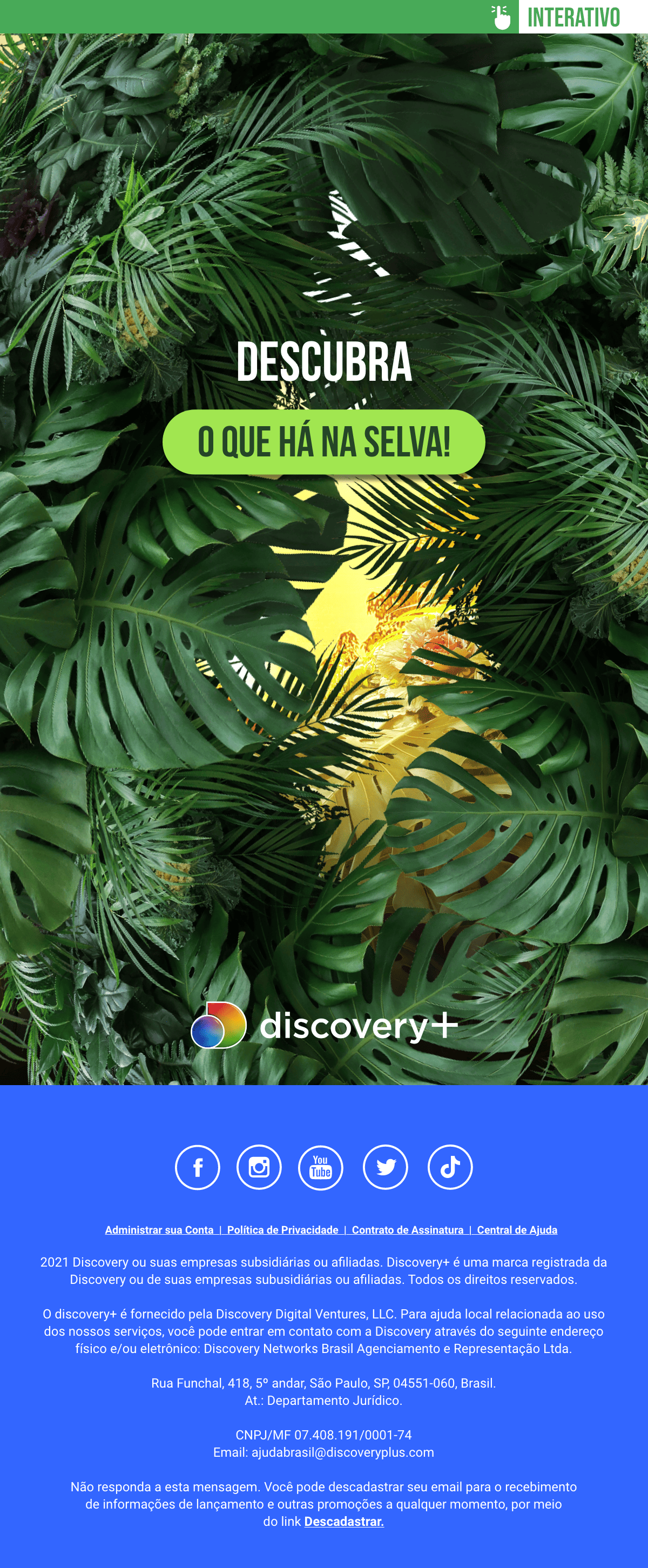 Discovery+ Love In the Jungle