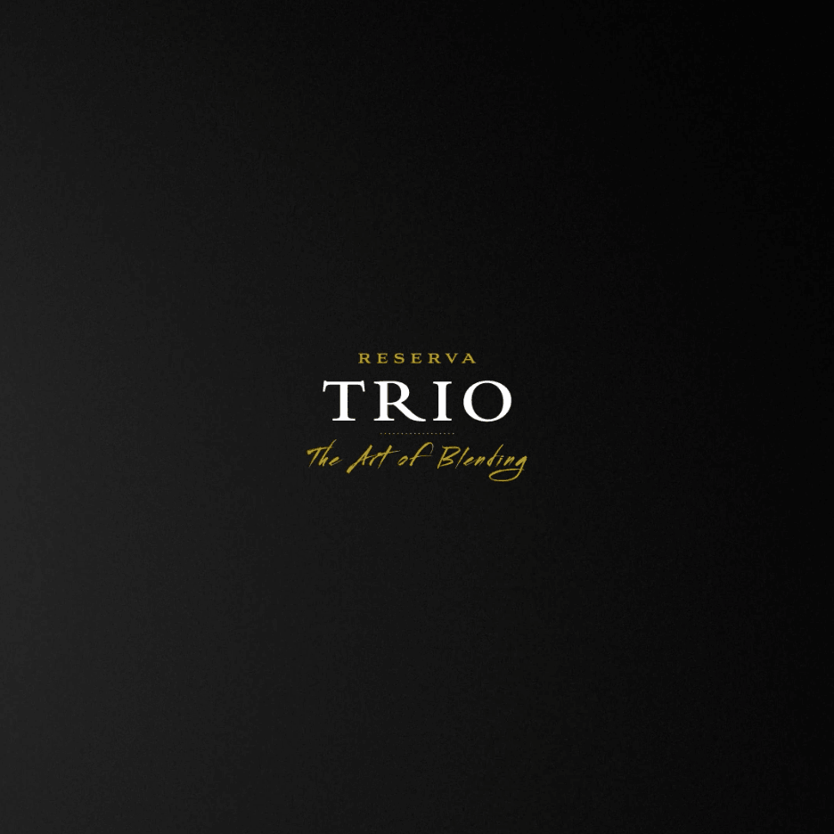 TRIO El Arte del ensamblaje
